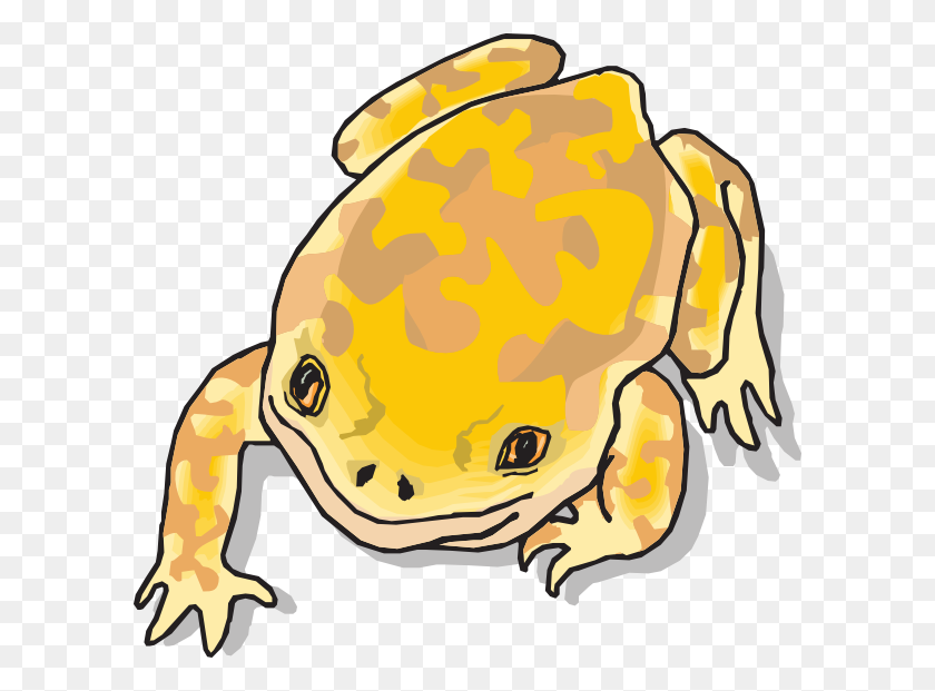 600x561 Yellow And Brown Frog Clip Arts Download - Frog And Toad Clipart