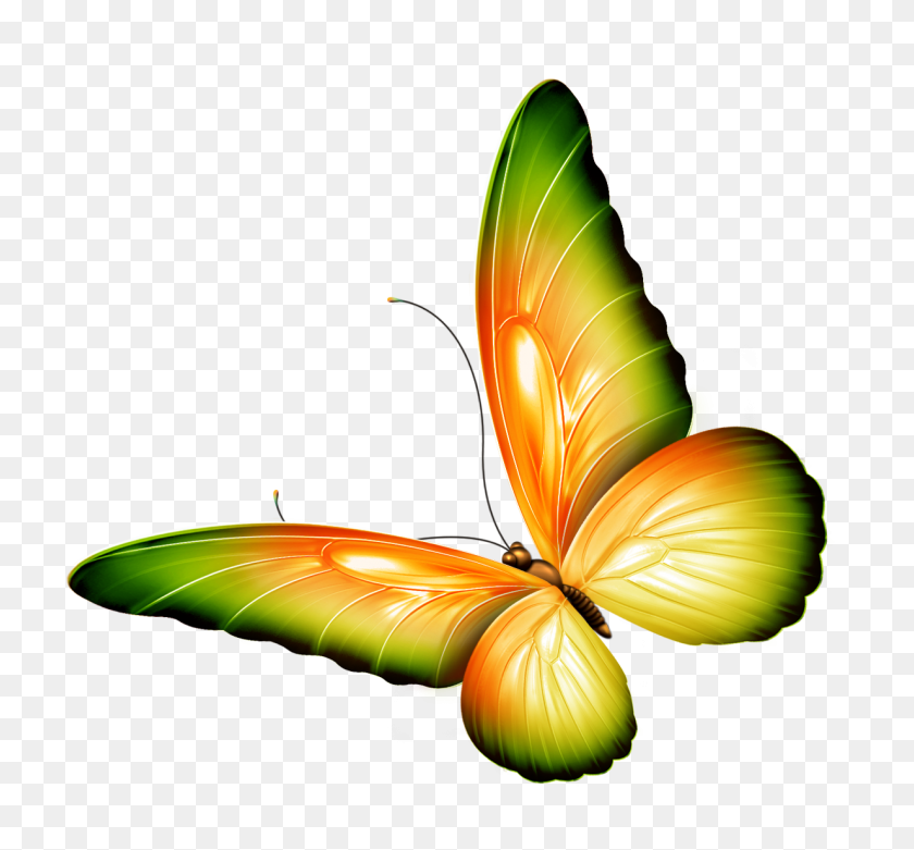 1232x1140 Galería De Mariposas Transparentes Amarillas Y Verdes - Clipart De Mariposas Transparentes