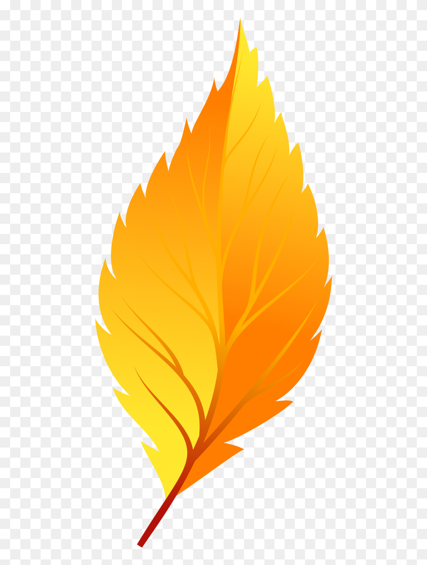 480x1051 Yellow Autumn Leaf Png - Gold Leaf PNG