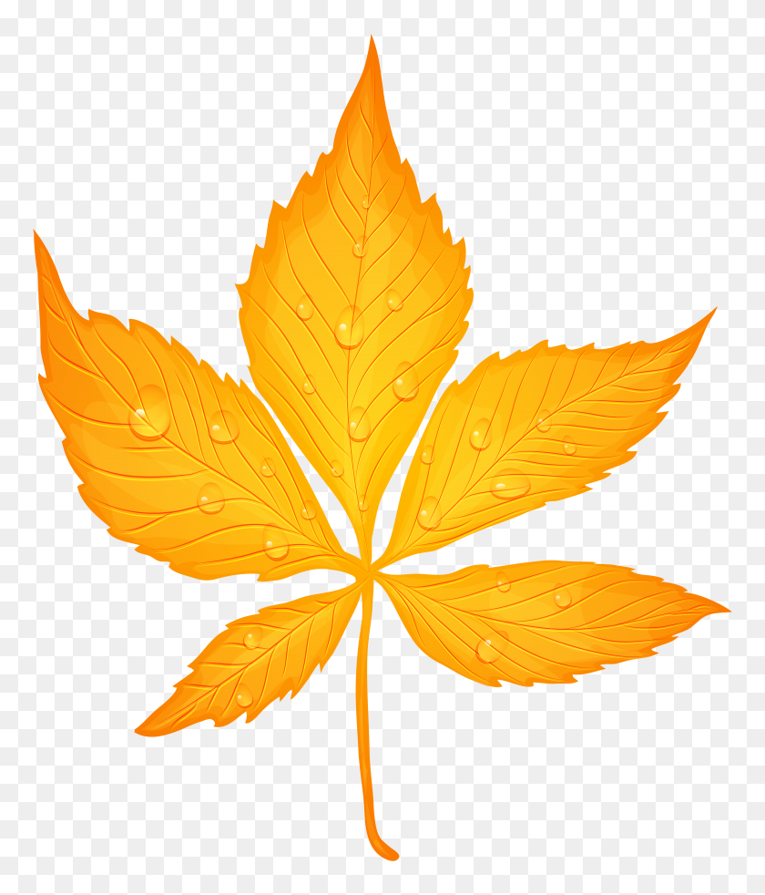 5920x7000 Yellow Autumn Leaf With Dew Drops Transparent Png Clip Art Image - Mountain Dew Clipart