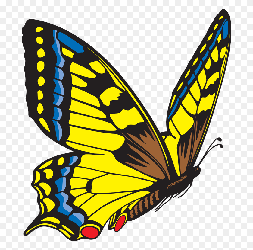 696x768 Желтая Бабочка - Клипарт Дождевая