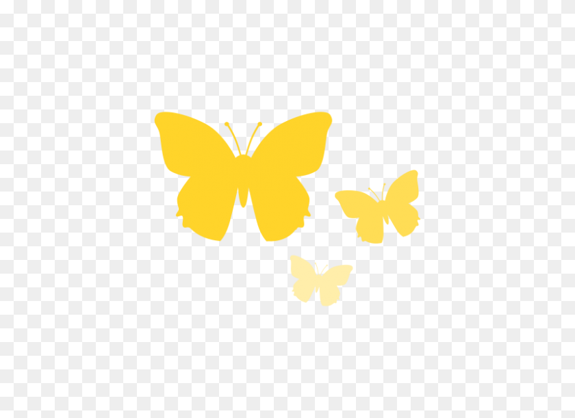 800x566 Желтая Бабочка Клипарт