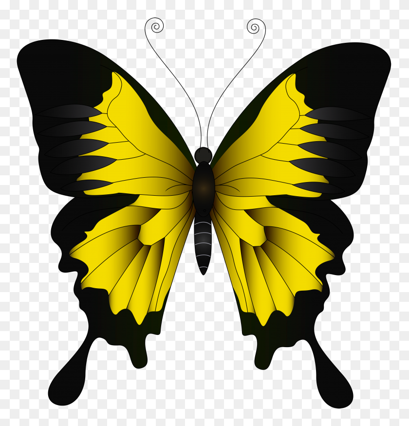 4783x5000 Желтая Бабочка Png Картинки - Желтая Бабочка Клипарт