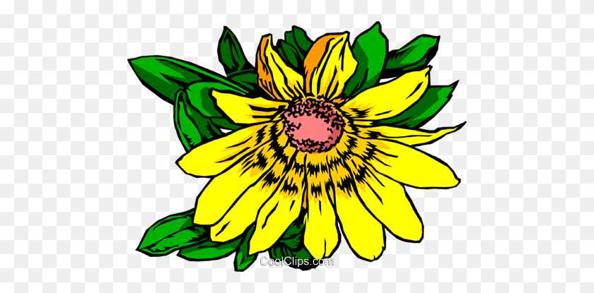 480x355 Yellow Daisy Royalty Free Vector Clip Art Illustration - Yellow Daisy Clipart