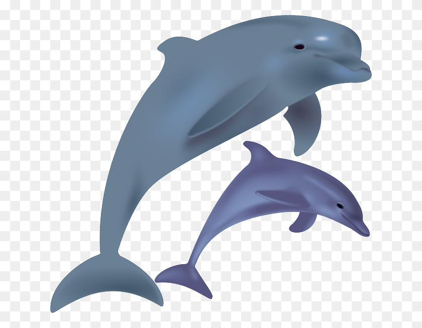 640x593 Yellow Dolphin Clip Art - Maui Clipart