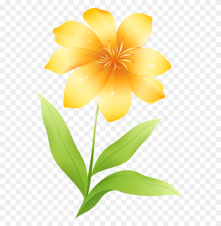 553x800 Yellow Flower - Yellow Flower PNG