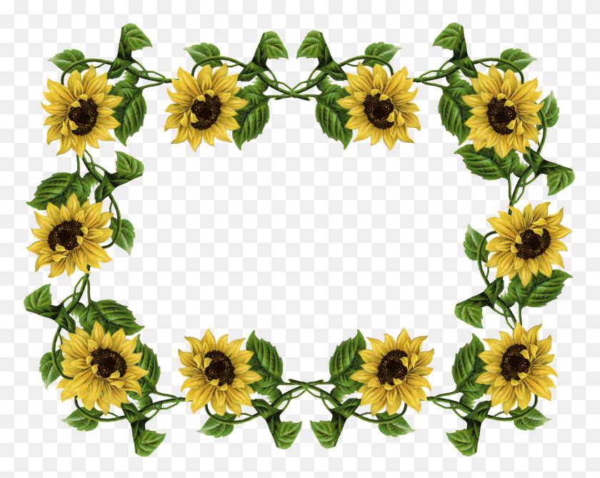 1375x1075 Yellow Flower Border Png, Yellow Flower Png Clip Art Image - Yellow Border PNG