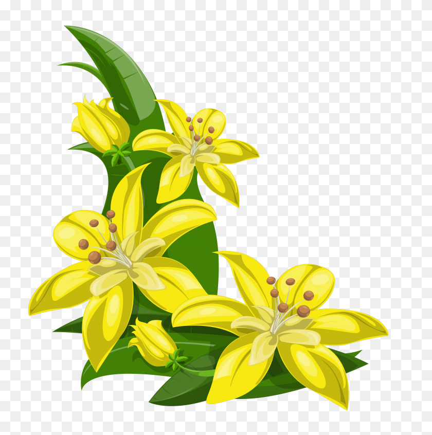 6417x6469 Png Желтый Цветок Границы, Желтый Цветок Png Изображение - Тропический Бордюр Клипарт