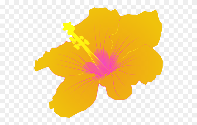550x472 Желтый Цветочный Клипарт Баннер Гавайи Картинки - Тропический Цветочный Клипарт