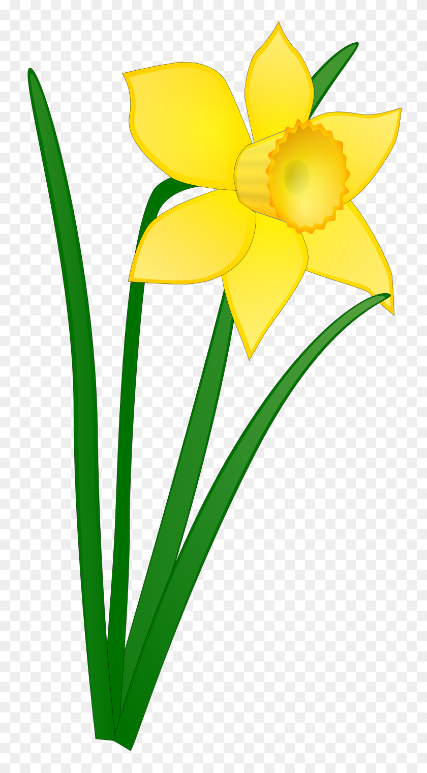 Yellow Flower Clipart Tall Flower - Yellow Rose Clipart