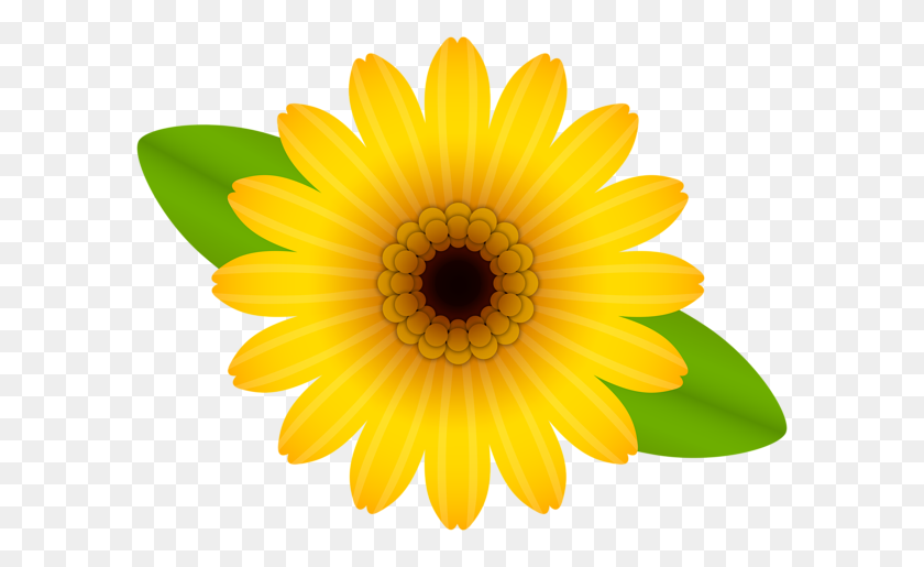 600x455 Yellow Flower Decorative Transparent - Yellow Flower PNG