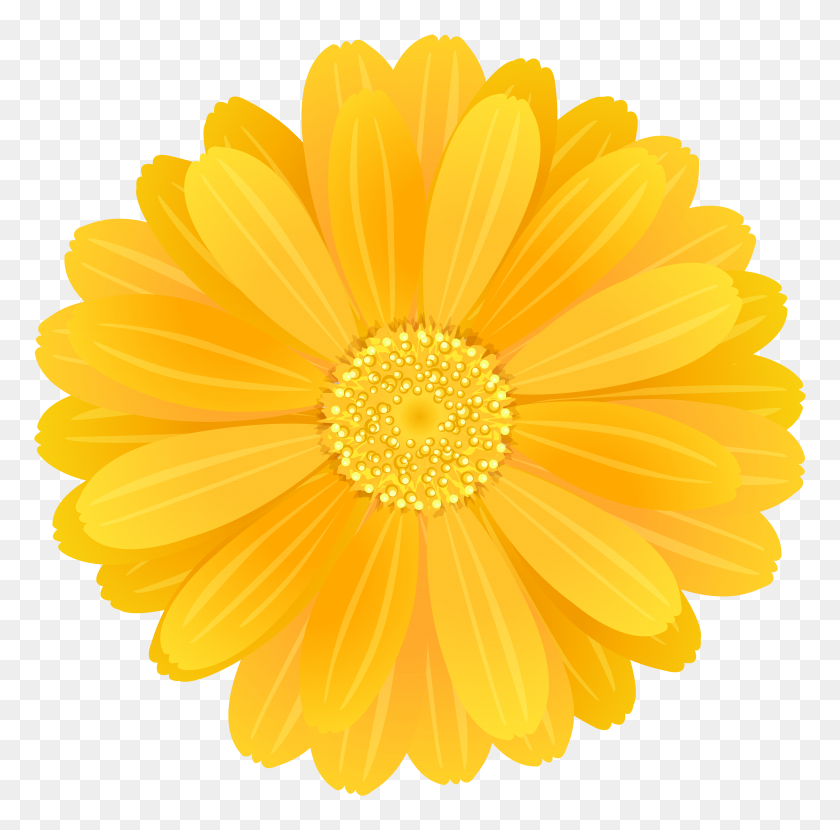 8000x7903 Yellow Flower Png - Marigold PNG