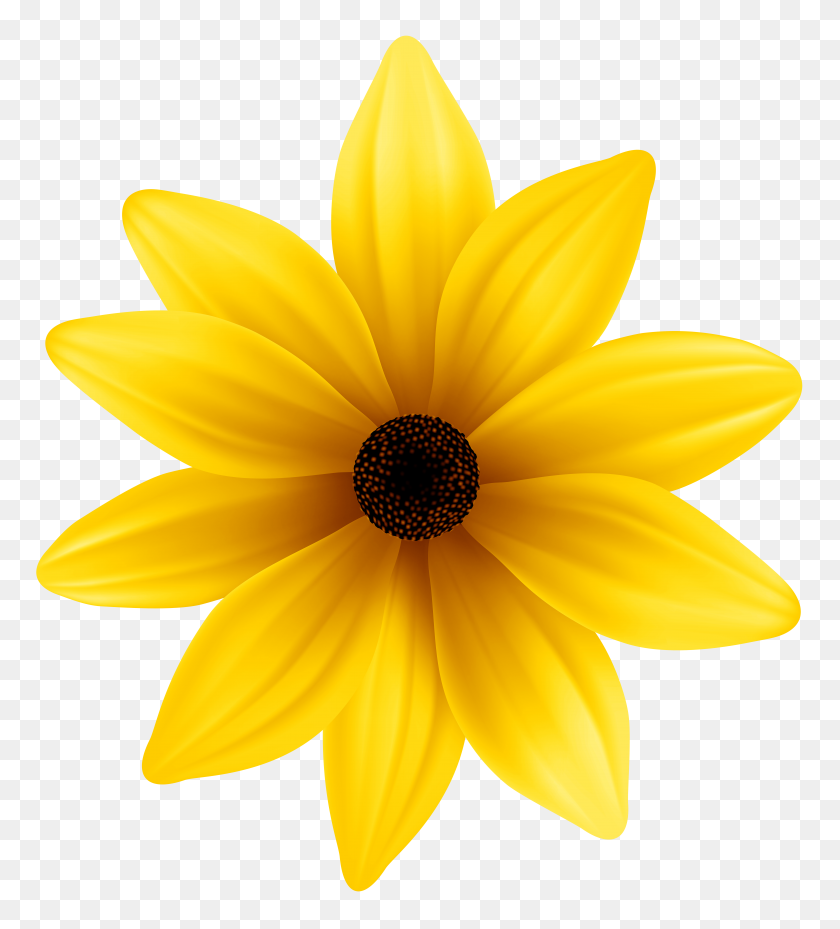 7177x8000 Желтый Цветок Png Картинки - Сьюзан С Черными Глазами Клипарт