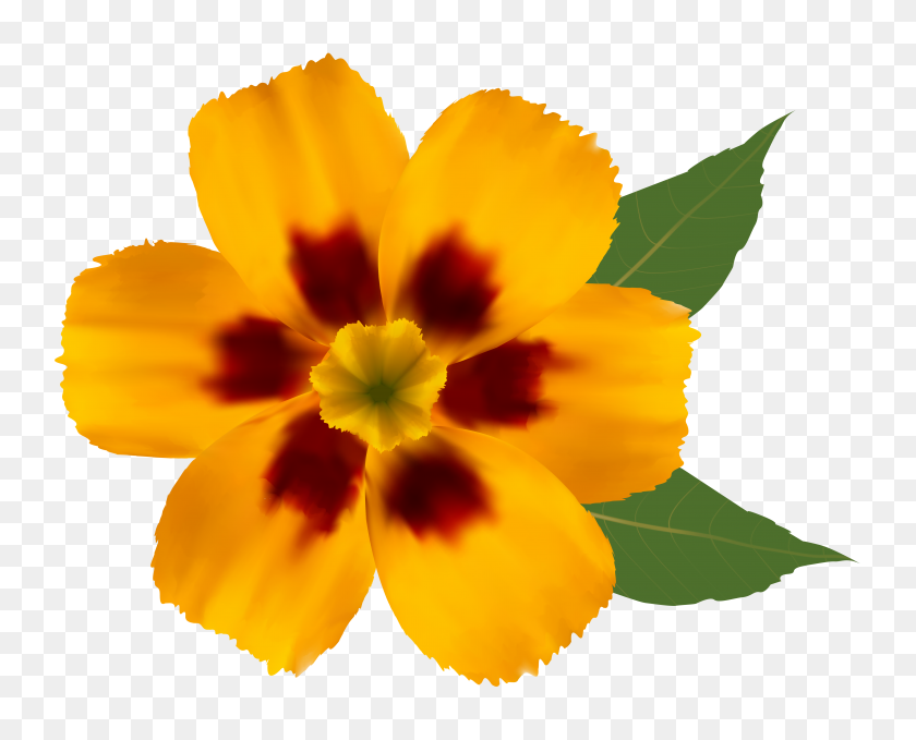 6288x4996 Yellow Flower Png Clipart - Real Flowers PNG