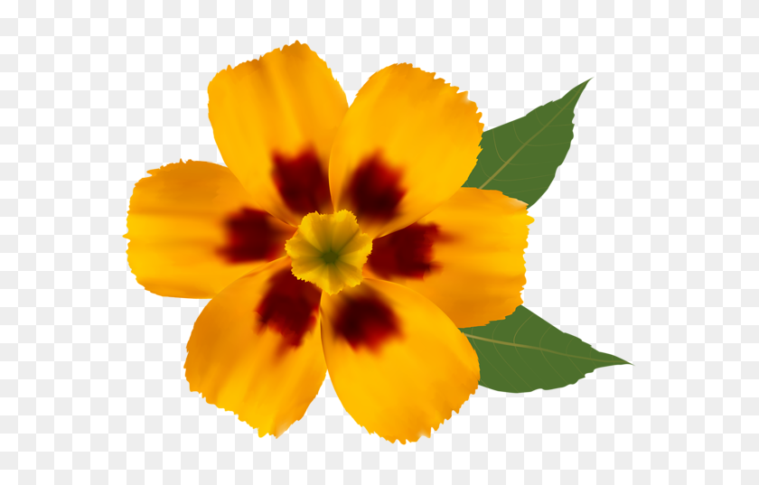 600x477 Png Желтый Цветок Клипарт