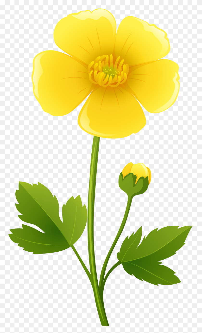 3492x5925 Yellow Flower Transparent Png Clip Art Gallery - Yellow Flower Clipart