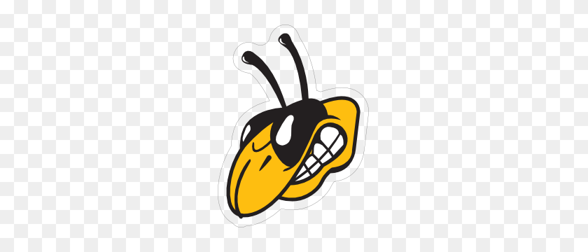300x300 Yellow Jackets Head Mascot Sticker - Yellow Jacket Mascot Clipart