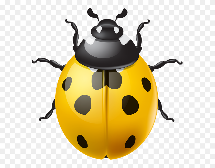 600x596 Yellow Ladybird Png Clip - Free Ladybug Clipart