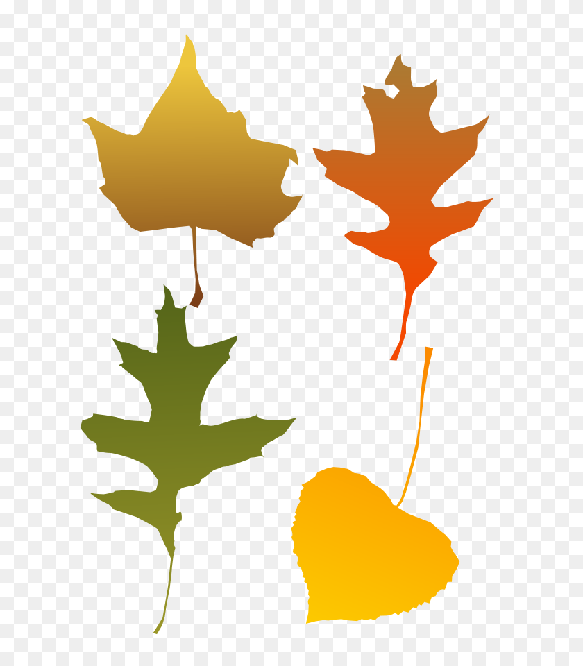 636x900 Yellow Leaf Clipart, Vector Clip Art Online, Royalty Free Design - Branch Clipart PNG