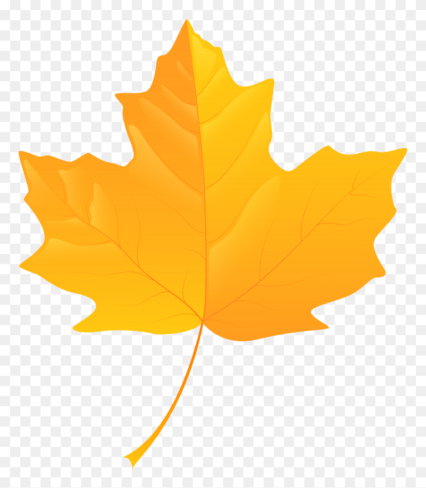 6918x8000 Yellow Leaf Png Clip Art - Yellow Leaf Clipart
