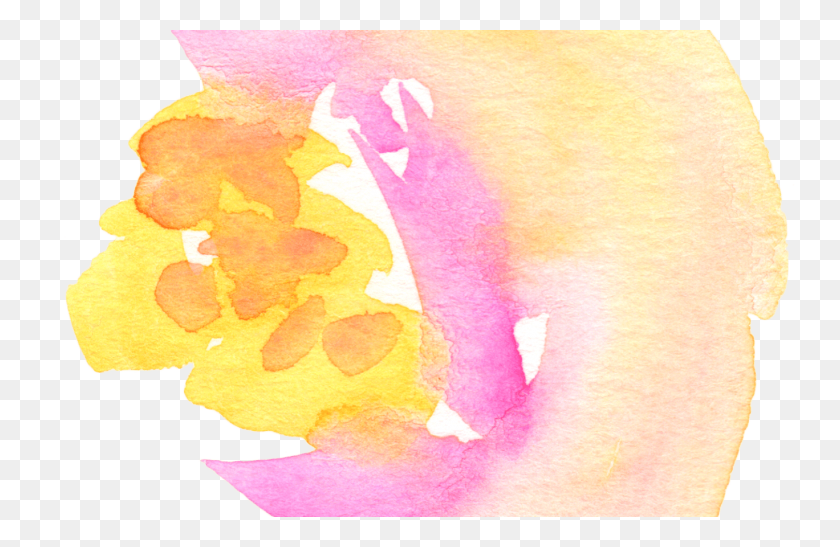 1368x855 Желтый Персик Акварель Цветы Садовый Цветок И Овощи - Акварель Цветочные Клипарт