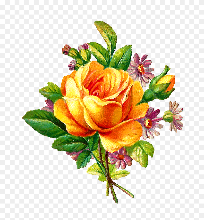 764x848 Rosa Amarilla Clipart Ramo Amarillo - Acuarela Floral Png