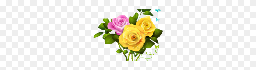 228x171 Png Желтая Роза Клипарт