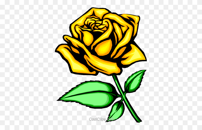 383x480 Yellow Rose Royalty Free Vector Clip Art Illustration - Yellow Rose Clipart