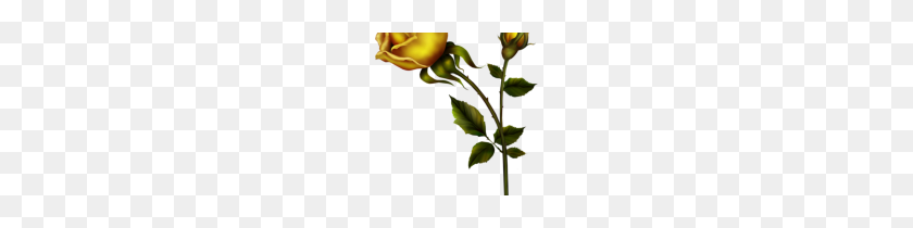 150x150 Yellow Roses Clip Art Yellow Rose With Bud Png Clipart Kedvenceim - Yellow Rose Clipart