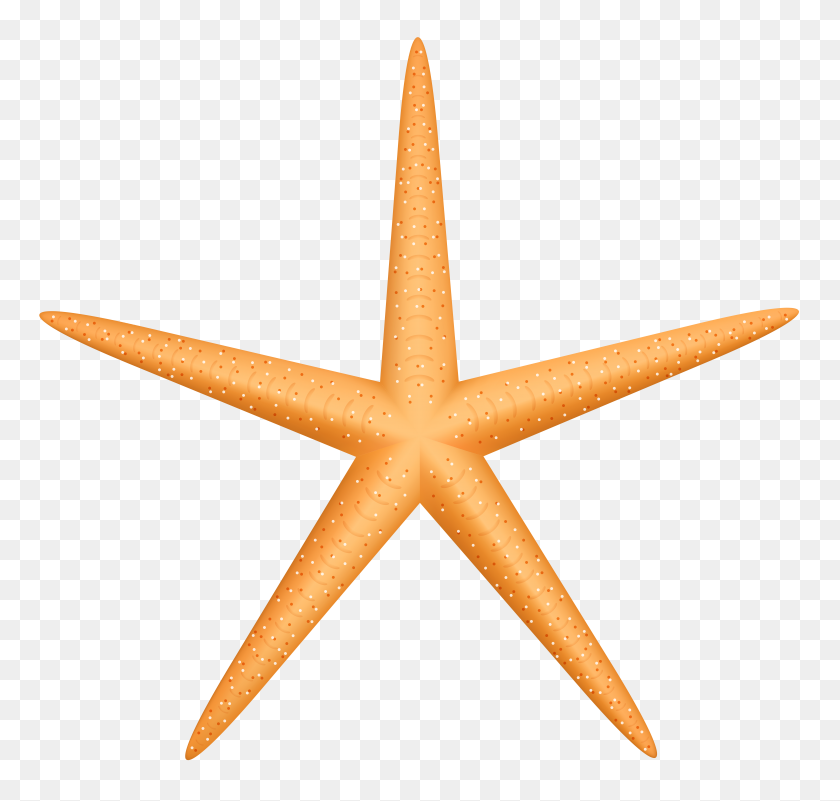 8000x7609 Yellow Starfish Png Clip Art - Summer Background Clipart