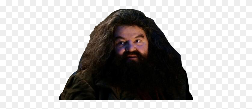 449x304 Yer A Wizard Harry Harrypotter Hagrid Hp Freetoedit - Hagrid PNG