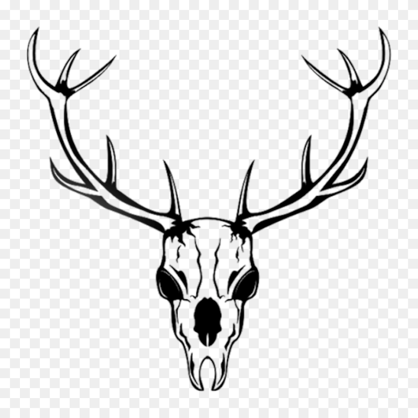 900x900 Yeti Oz Tumbler Etchxpress - Deer Skull PNG