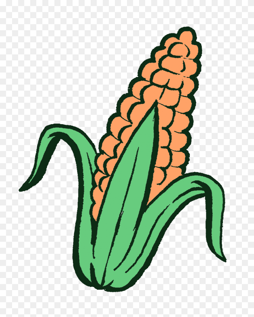 891x1130 You Don't Know Gmos - Crops PNG