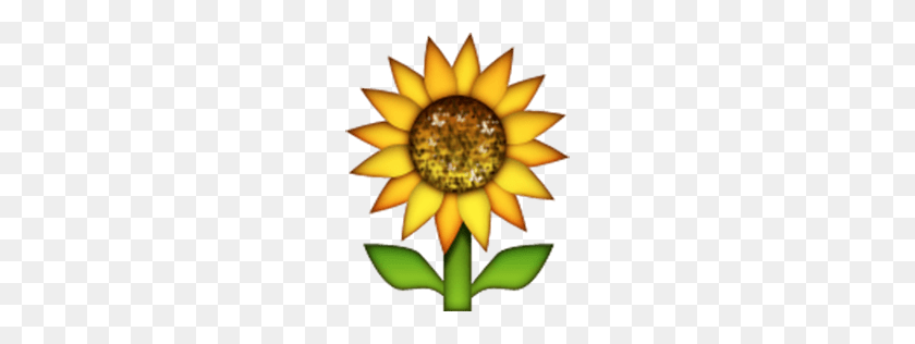 256x256 You Seached For Flowers Emoji - Flower Emoji PNG