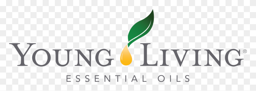 1109x343 Young Living - Young Living Logo PNG