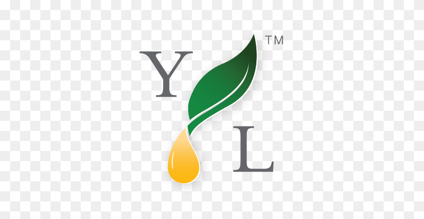 375x375 Young Living Essential Oils - Young Living Logo PNG