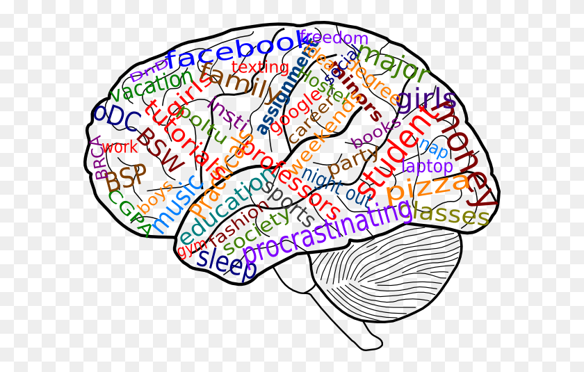 600x475 Твой Мозг На Картинке Колледжа - Картинки Для Мозга Клипарт