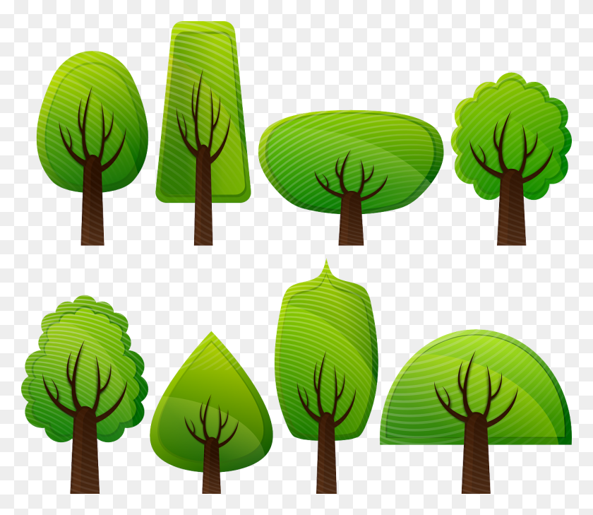 1280x1098 Your Humble Street Tree Scientific Scribbles - Real Tree Clipart