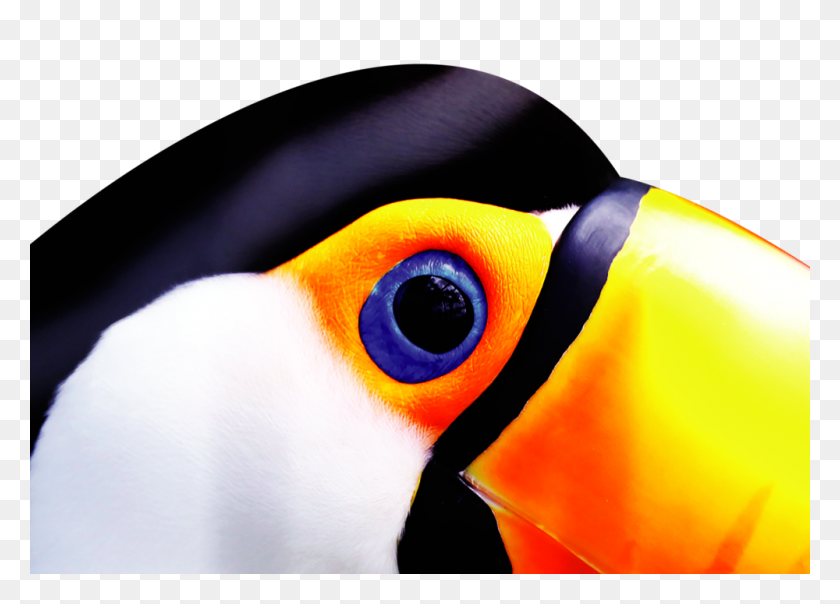 1000x698 Your Site Title - Toucan PNG