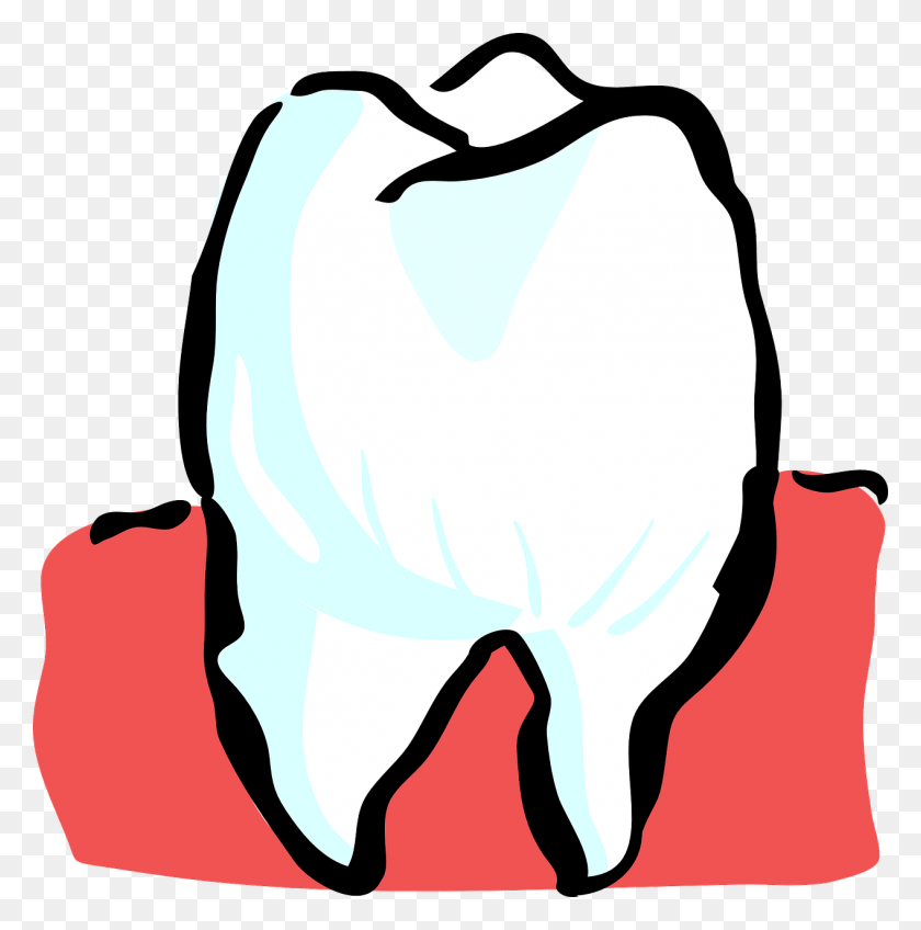 1266x1280 You've Had A Root Canal Treatment Now What Kyrene Chandler Az - Orthodontist Clipart