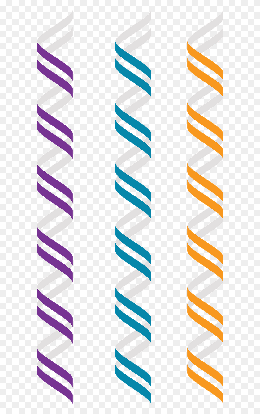 640x1280 Z Dna,left Handed Double Helix,alternate Geometry,free Vector - Double Helix PNG