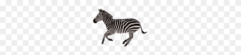 190x132 Zebra - Zebra PNG