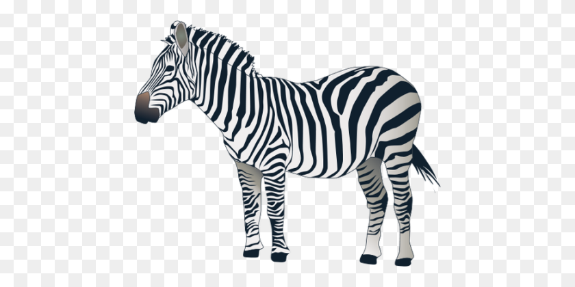 448x360 Zebra - Zebra PNG