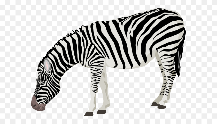 600x421 Zebra Clip Art - Eat Clipart Black And White