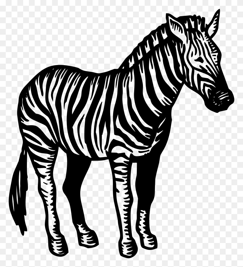 2102x2326 Zebra Illustration Icons Png - Zebra PNG