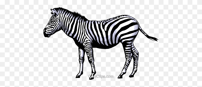 480x305 Zebra Royalty Free Vector Clip Art Illustration - Free Zebra Clipart