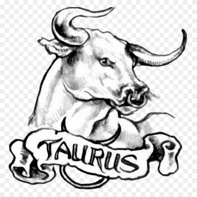 900x900 Zodiac Taurus Tattoo Designs And Ideas - Teardrop Tattoo PNG
