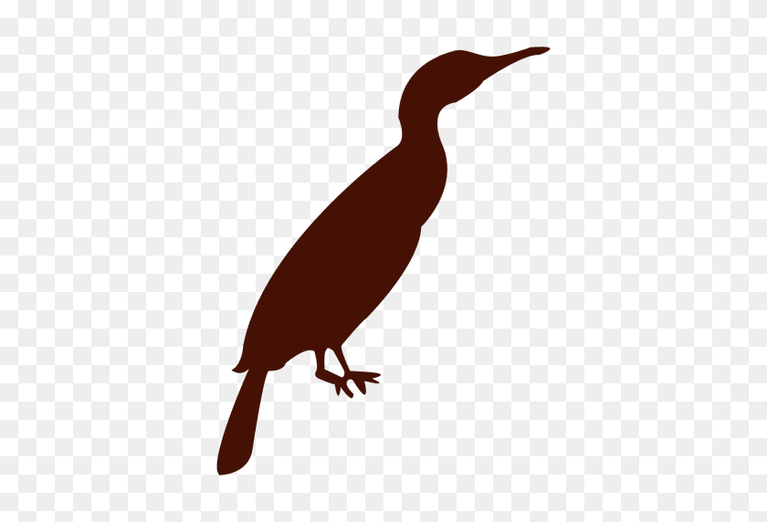 512x512 Zoo Bird Silhouette - Bird Silhouette PNG