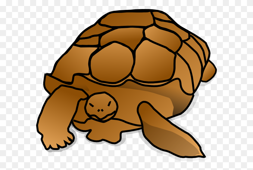 600x506 Zoo Sea Turtle Clipart, Explore Pictures - Free Zoo Clipart