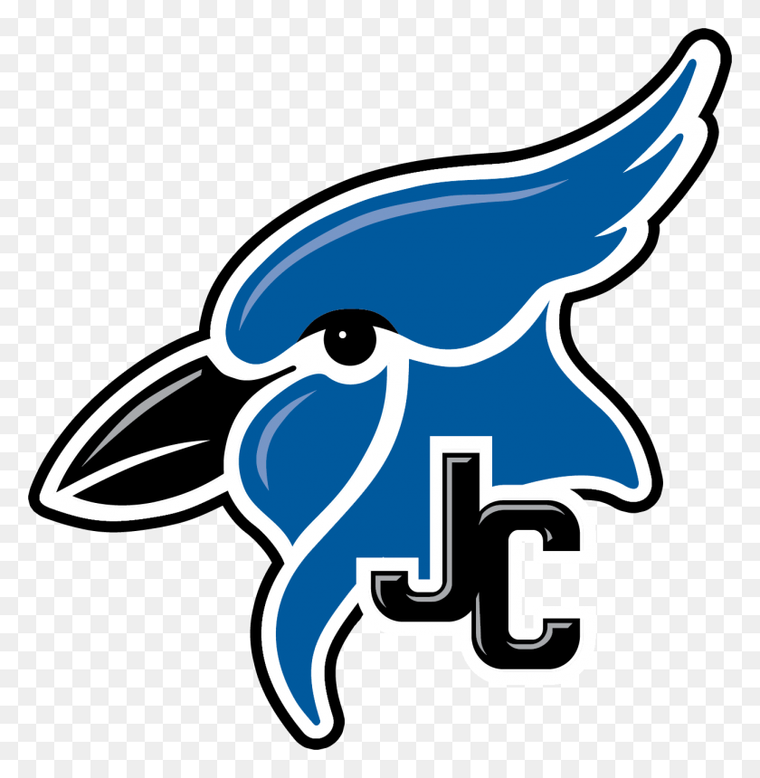 1305x1340 Zoology - Blue Jay PNG